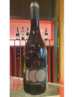 100% Carignan - Château de...