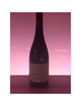 Bourgogne pinot noir -...